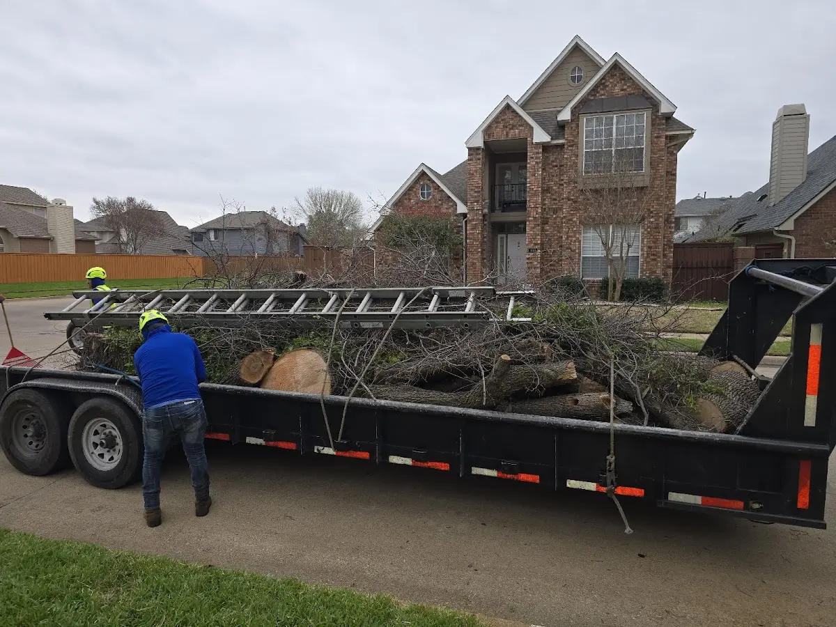 Expert Tree Fertilization with proper safety equipment in Lunenburg